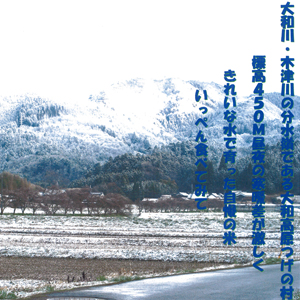つげ高原