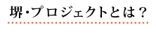 堺・プロジェクトについて