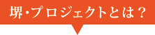 堺・プロジェクトについて